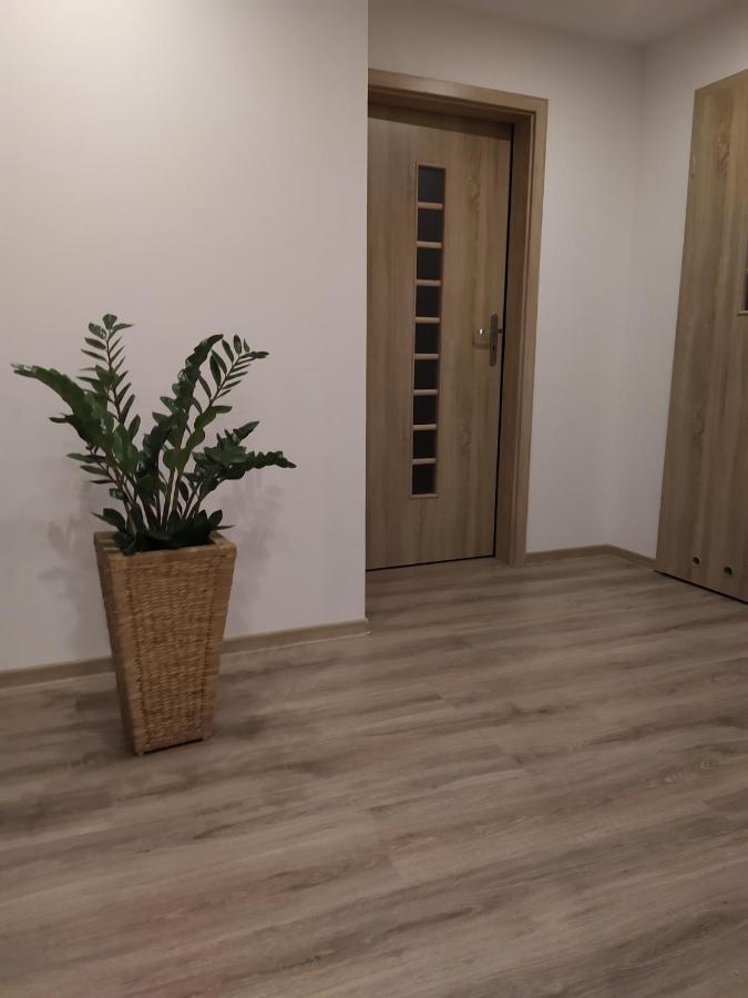 Apartament KAOLA Jelenia Gora Bagian luar foto